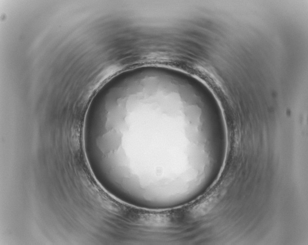 X0000086991409200704231833