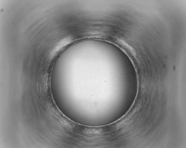 X0000086991411200704231833