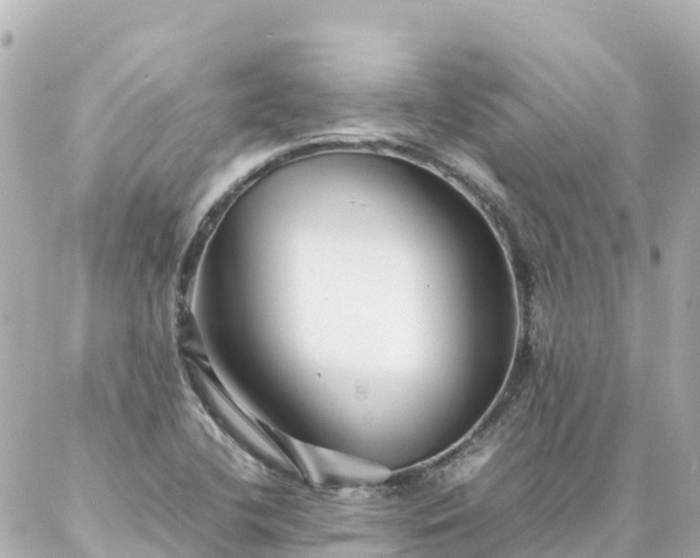 X0000086991412200704231833