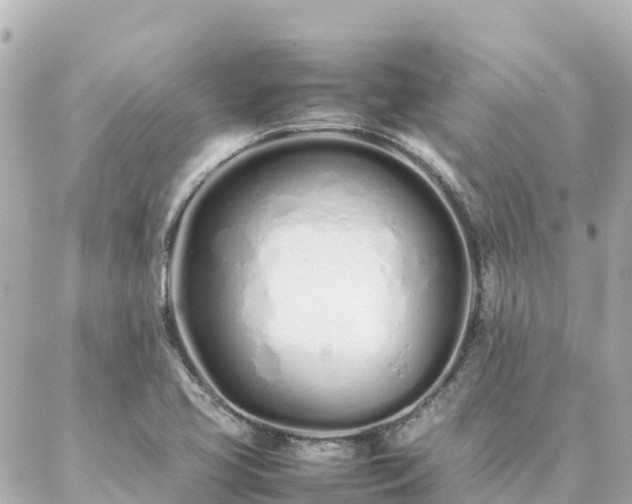 X0000086991413200704231833