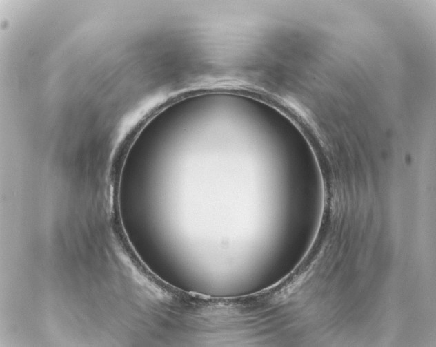 X0000086991414200704231833