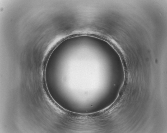 X0000086991416200704231833