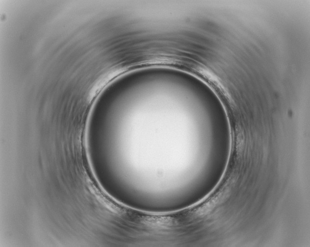 X0000086991417200704231833