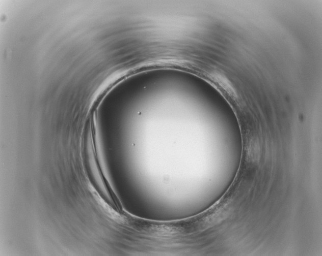 X0000086991420200704231833