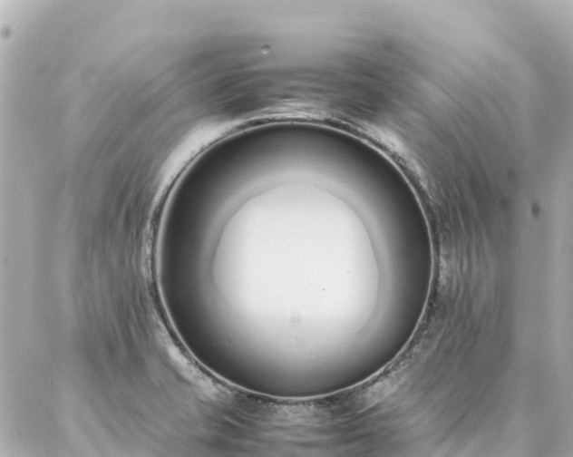 X0000086991421200704231833