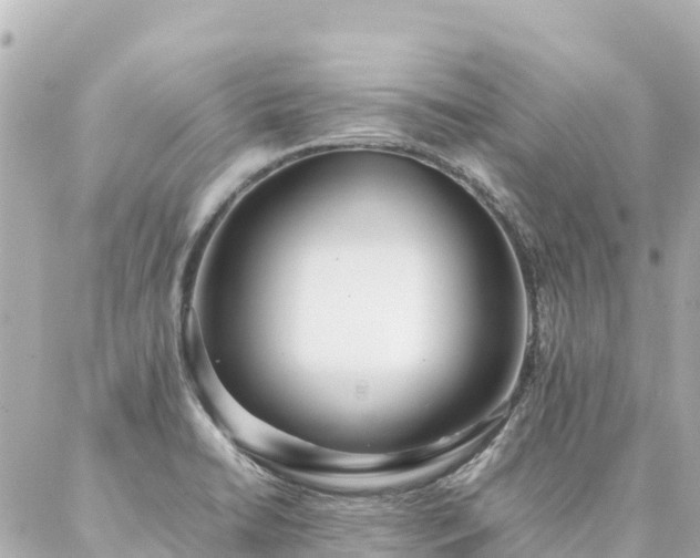 X0000086991422200704231833