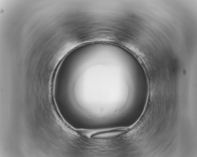 X0000086991423200704231833