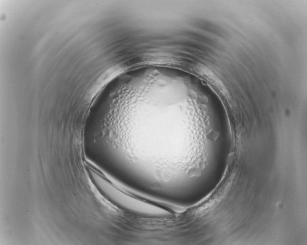 X0000086991425200704231834