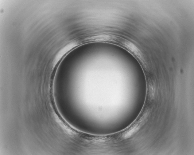 X0000086991426200704231834