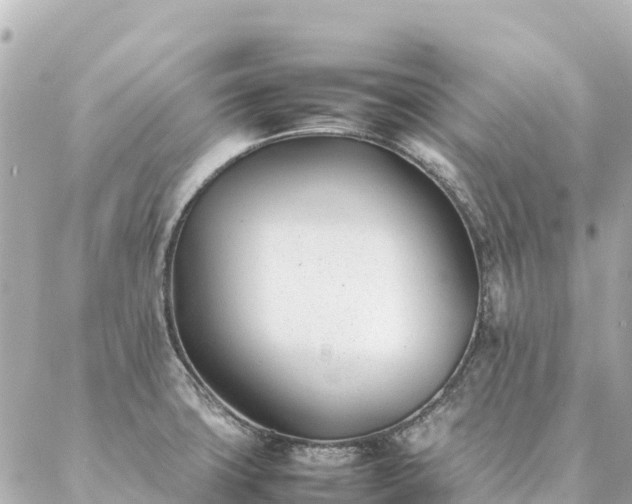 X0000086991427200704231834