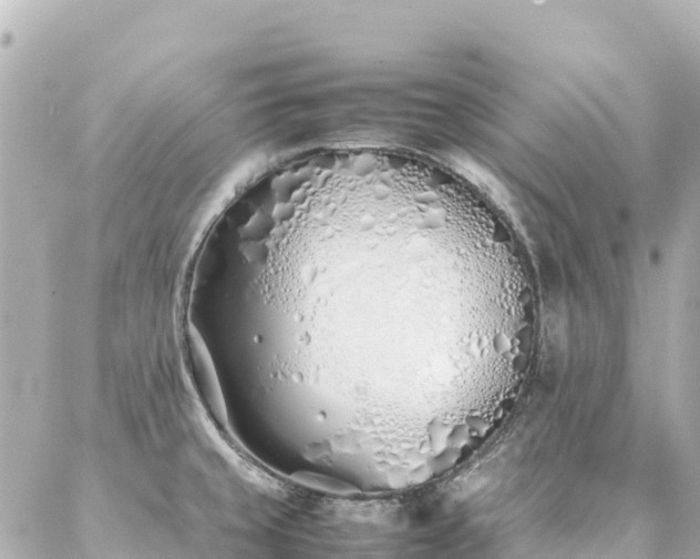 X0000086991429200704231834