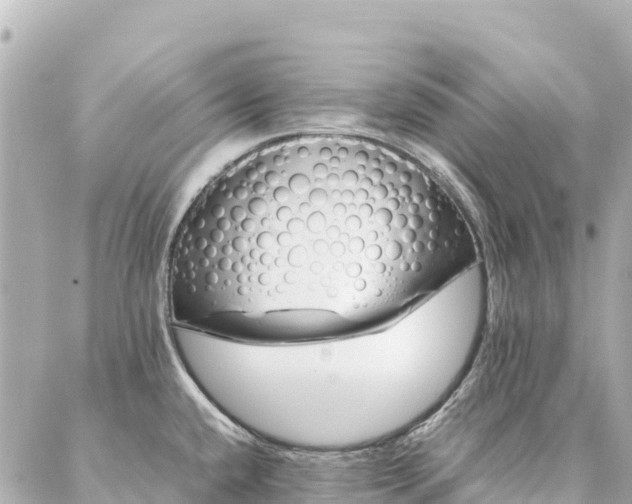 X0000086991432200704231834