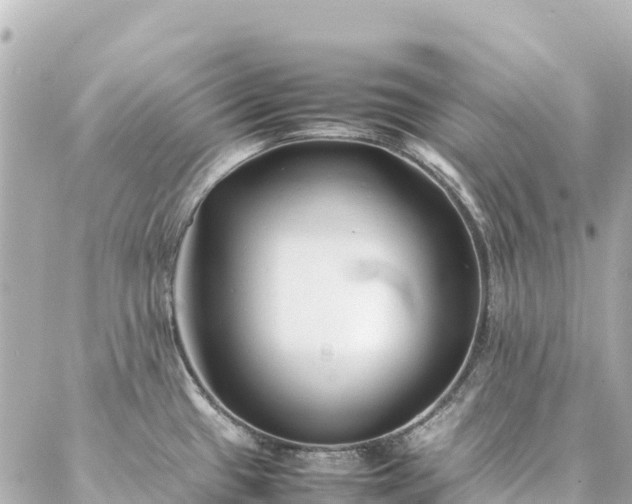 X0000086991433200704231834