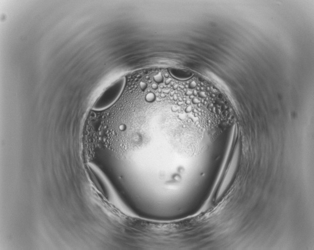 X0000086991435200704231834