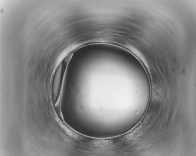 X0000086991437200704231834