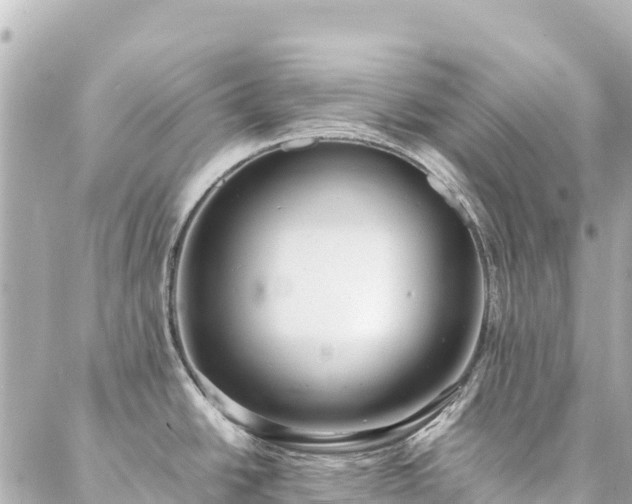 X0000086991438200704231834