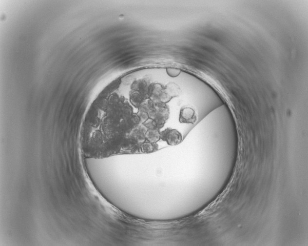 X0000086991440200704231834