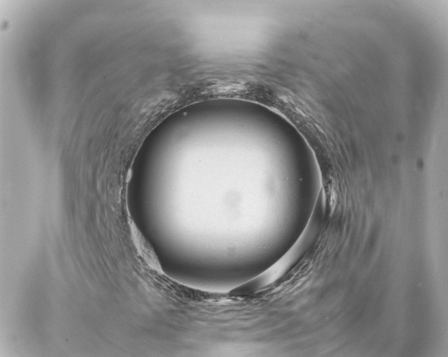 X0000086991441200704231833