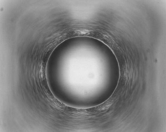 X0000086991442200704231833