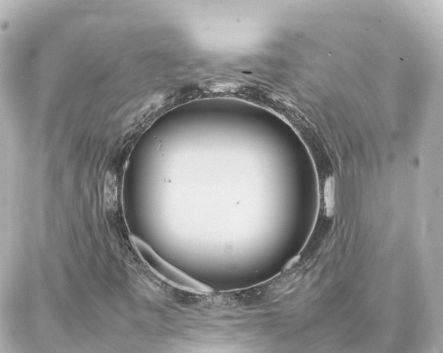 X0000086991443200704231833