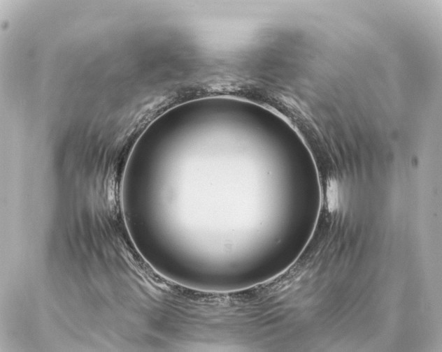 X0000086991444200704231833