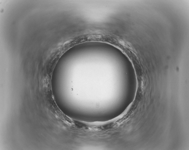 X0000086991445200704231833