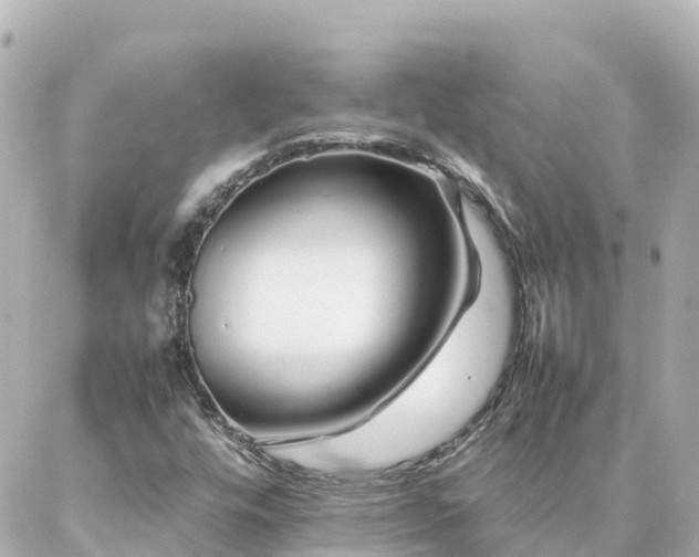 X0000086991448200704231833