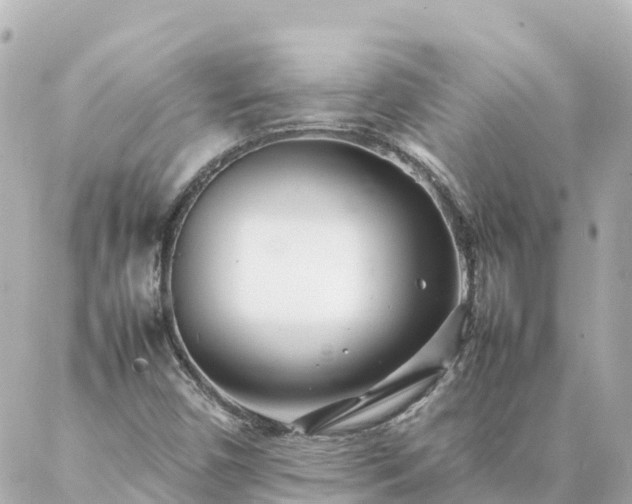 X0000086991450200704231833