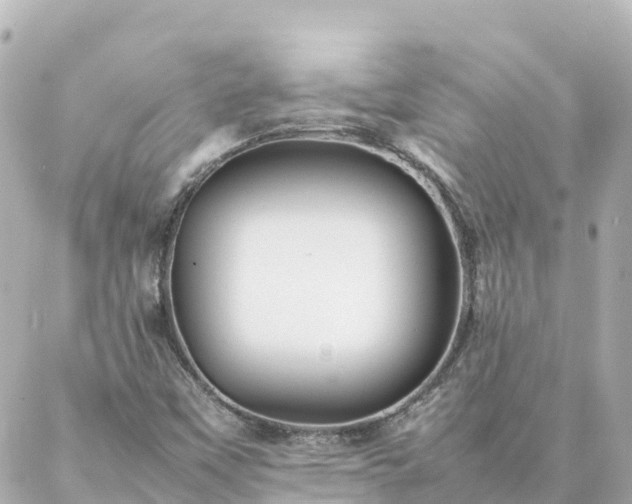 X0000086991451200704231833