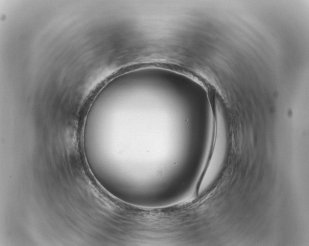 X0000086991452200704231833