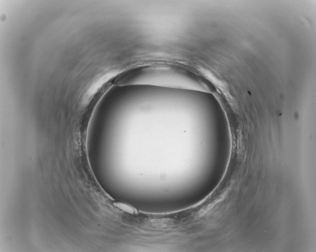 X0000086991453200704231833