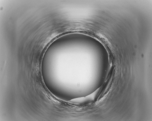 X0000086991457200704231833