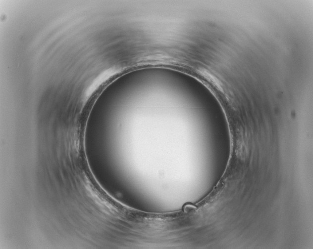 X0000086991458200704231833