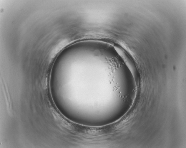 X0000086991459200704231833