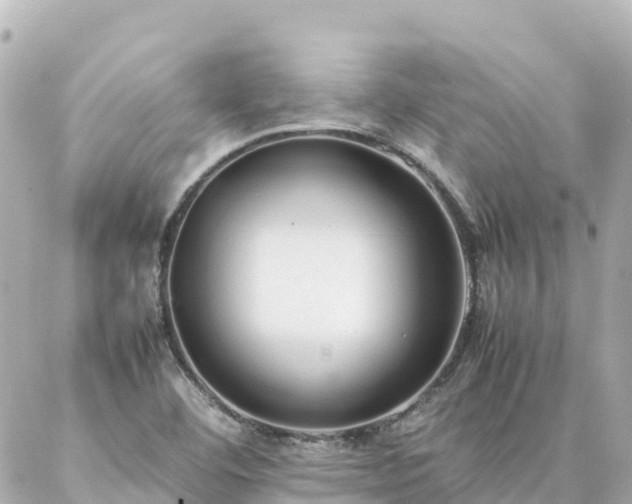 X0000086991460200704231833