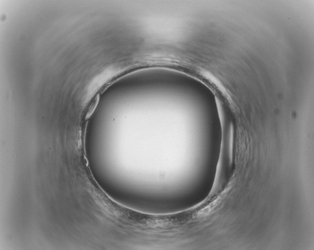 X0000086991461200704231833