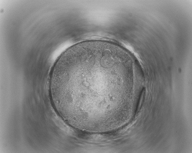 X0000086991463200704231833