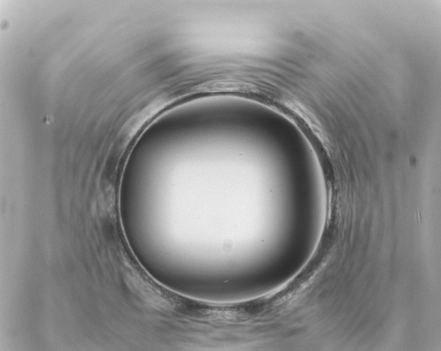 X0000086991465200704231833