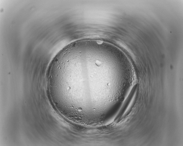 X0000086991467200704231833