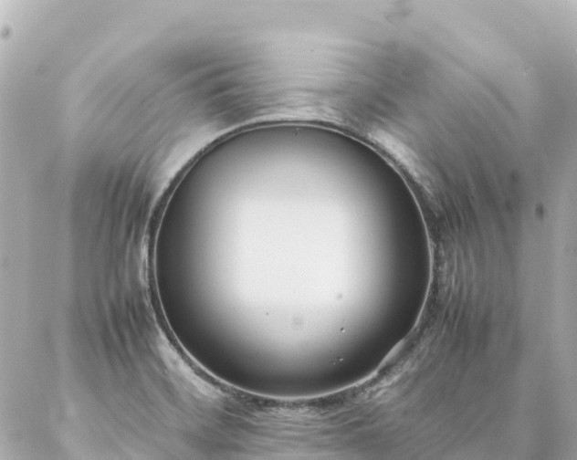 X0000086991468200704231833