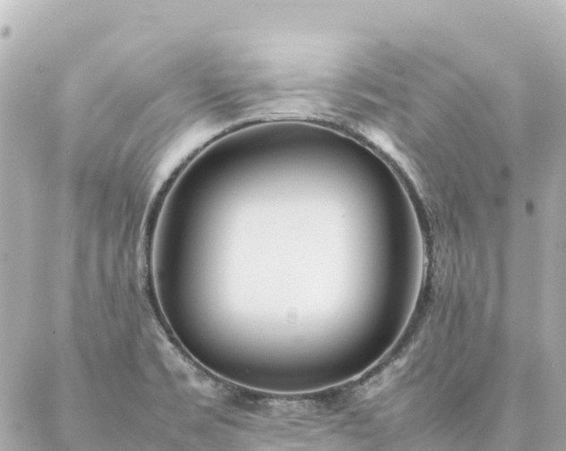 X0000086991469200704231833