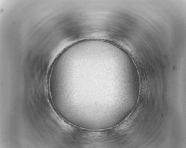 X0000086991470200704231833