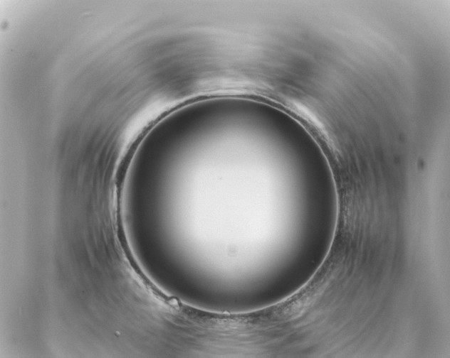 X0000086991472200704231832