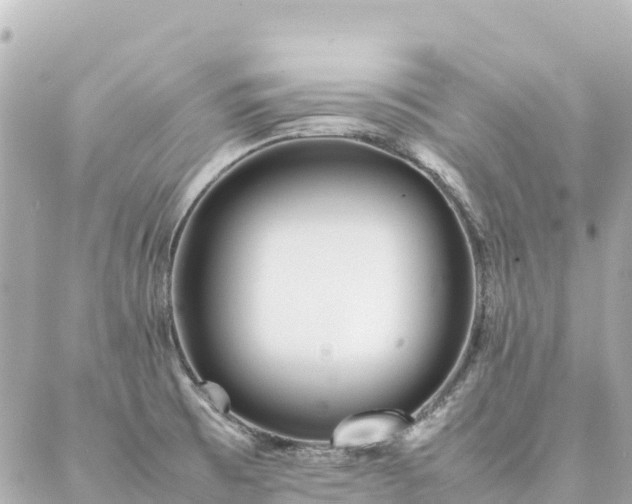 X0000086991473200704231832