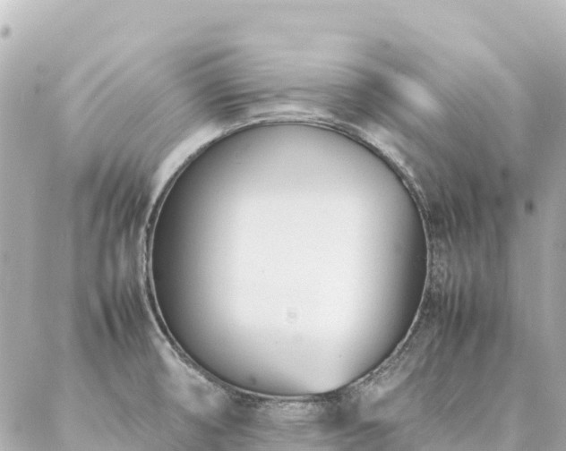 X0000086991474200704231832