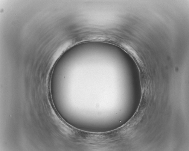 X0000086991475200704231832