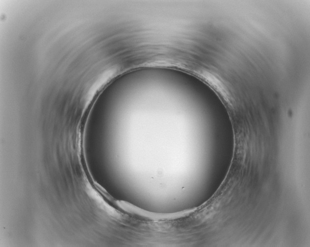 X0000086991476200704231832