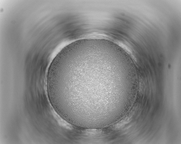 X0000086991478200704231832