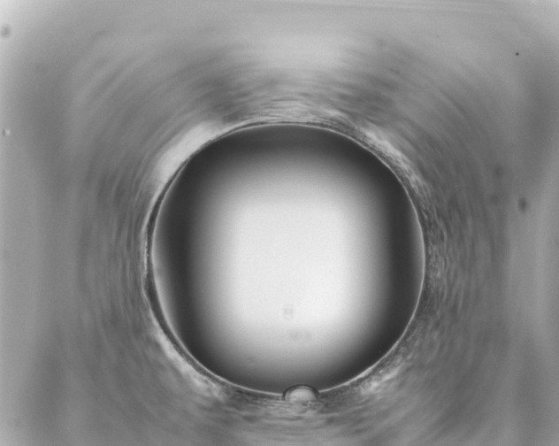 X0000086991479200704231832