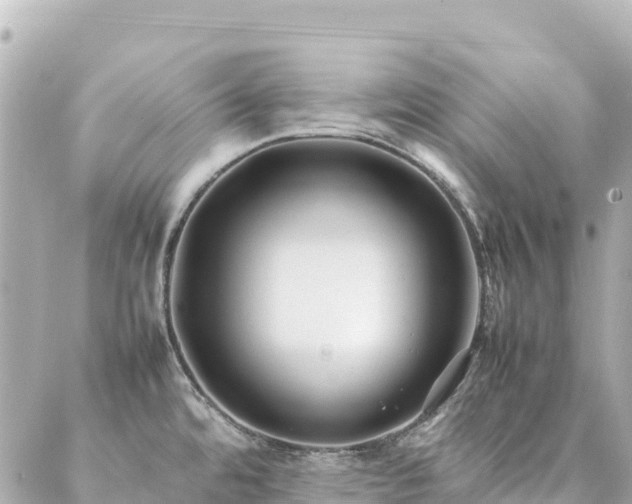 X0000086991480200704231832